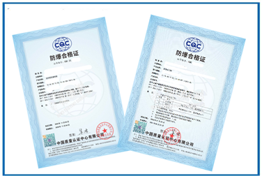 Sealing type "m" Ex certification case